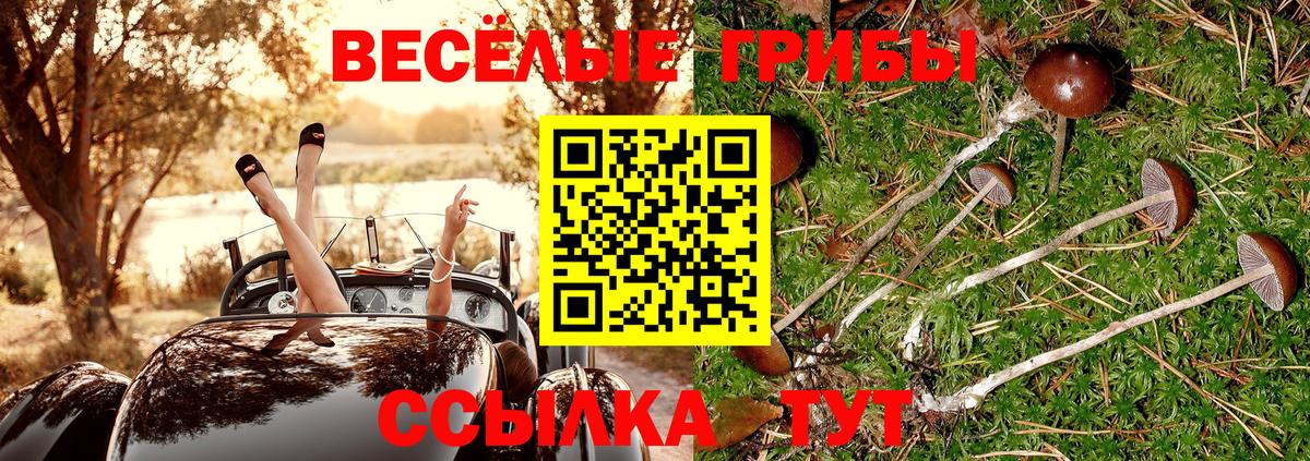 Галлюциногенные грибы мухоморы  Вход с VPN  Галлюциногенные грибы MAGIC MUSHROOMS  Санкт-Петербург 