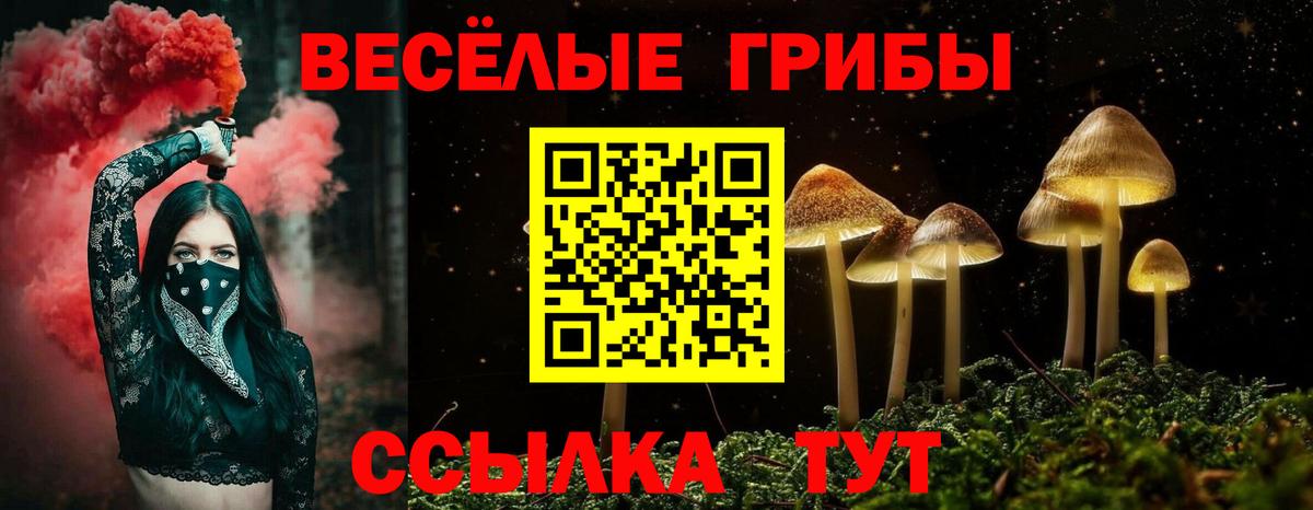 Галлюциногенные грибы Magic Shrooms Санкт-Петербург